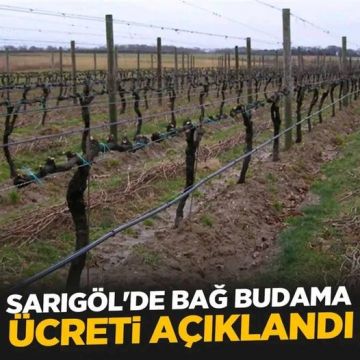 Sarıgöl’de bağ budama hazırlıkları…  Ücretler açıklandı! 